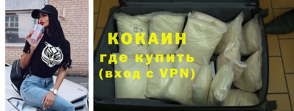 ПСИЛОЦИБИНОВЫЕ ГРИБЫ Богданович