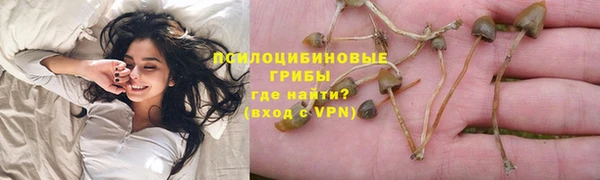 прущие крисы Богородск