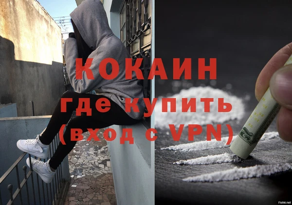 ПСИЛОЦИБИНОВЫЕ ГРИБЫ Богданович