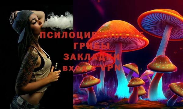 прущие крисы Богородск