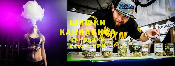 ПСИЛОЦИБИНОВЫЕ ГРИБЫ Богданович