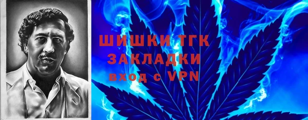 ПСИЛОЦИБИНОВЫЕ ГРИБЫ Богданович