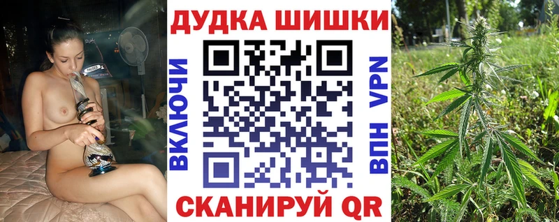 купить   Моздок  Бошки марихуана план 